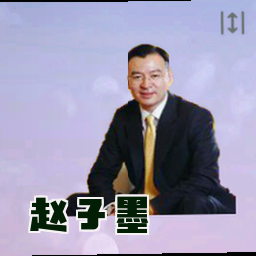 赵子墨