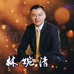林婉清